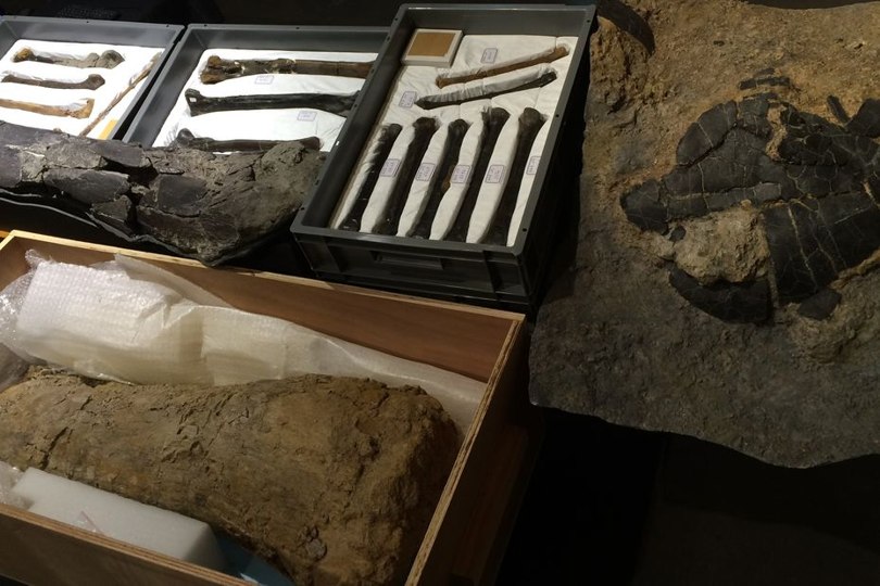 Discoveries from Angeac at Angoulême Museum