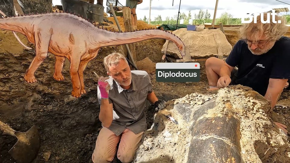 At the excavation site with the palaeontologists
